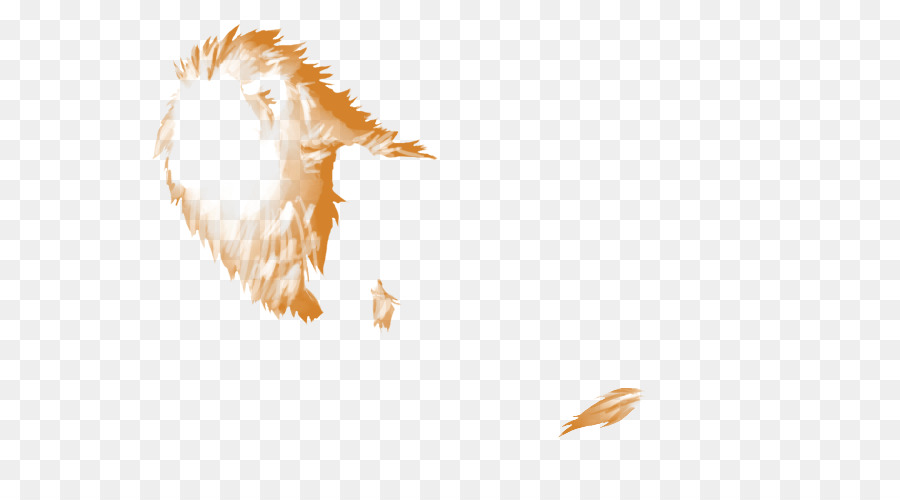 Aves，Pico PNG