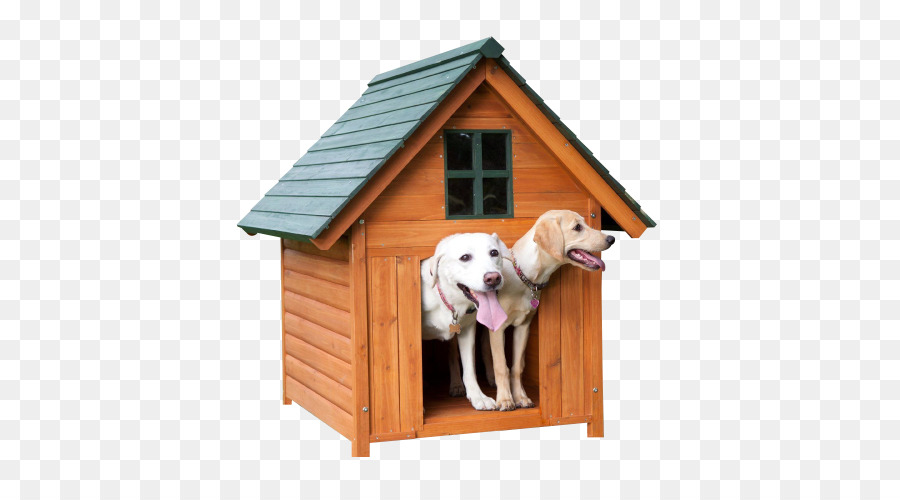 Perro，Cachorro PNG