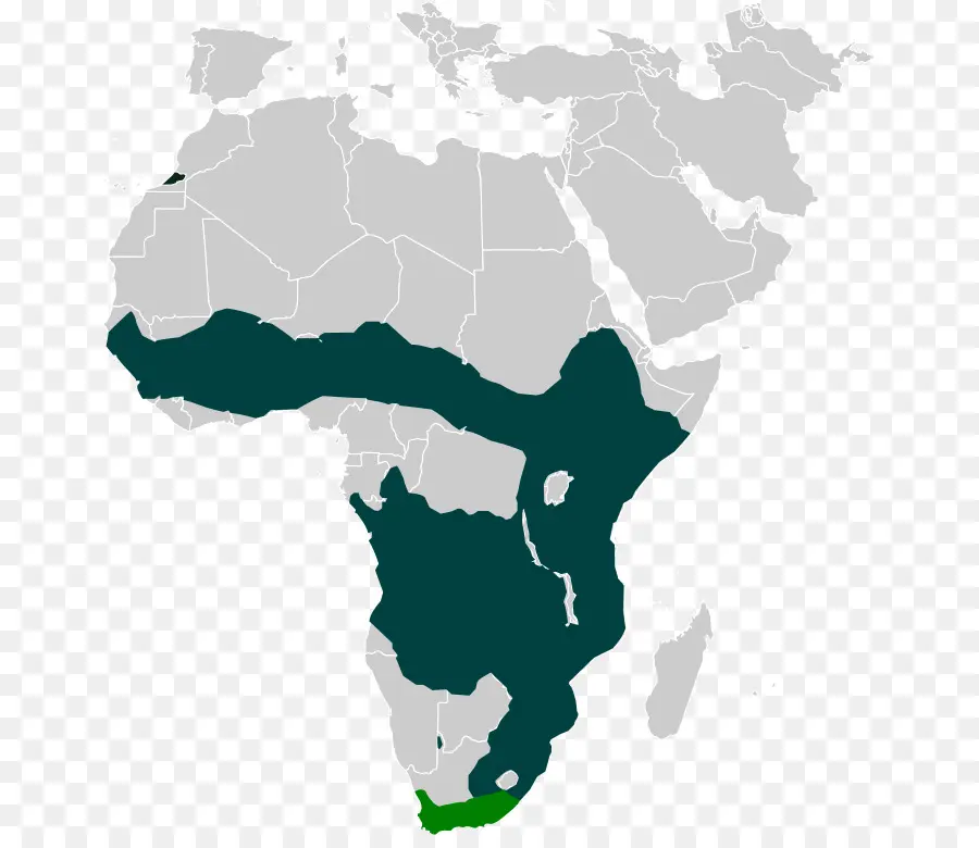 África Central，Este De Africa PNG