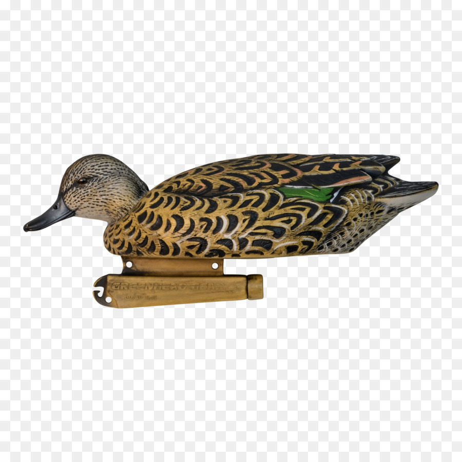 El ánade Real，Pato PNG