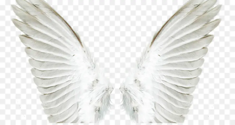 ángel，Dibujo PNG