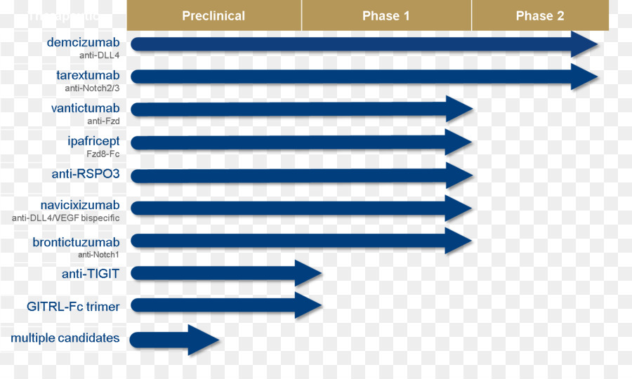 Documento，Web Analytics PNG