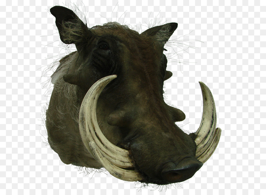 Cerdo，La Escultura PNG