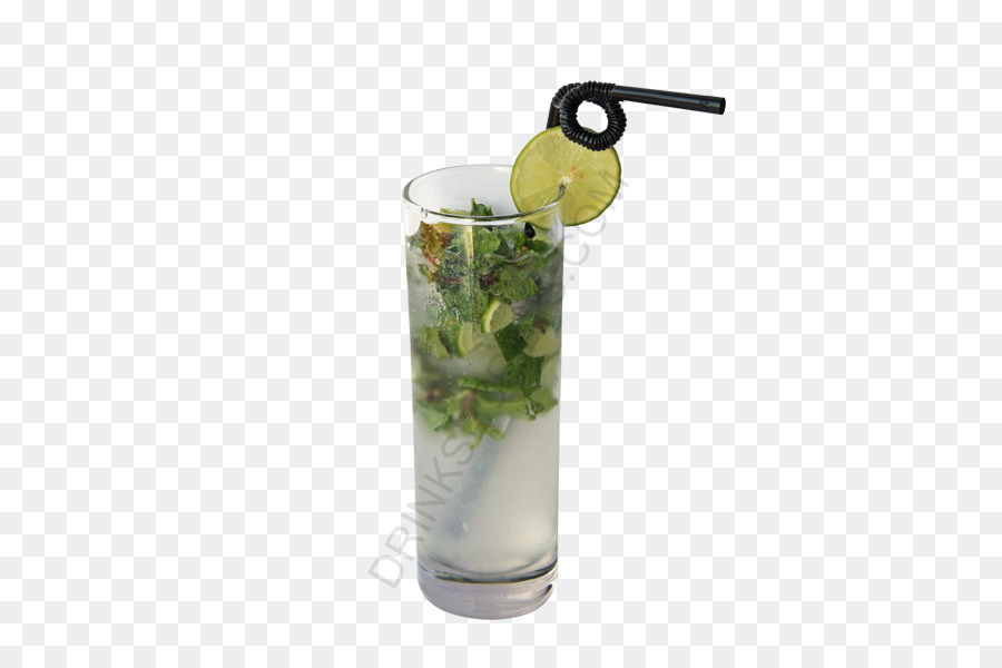 Gin Tonic，Cóctel De Guarnición PNG