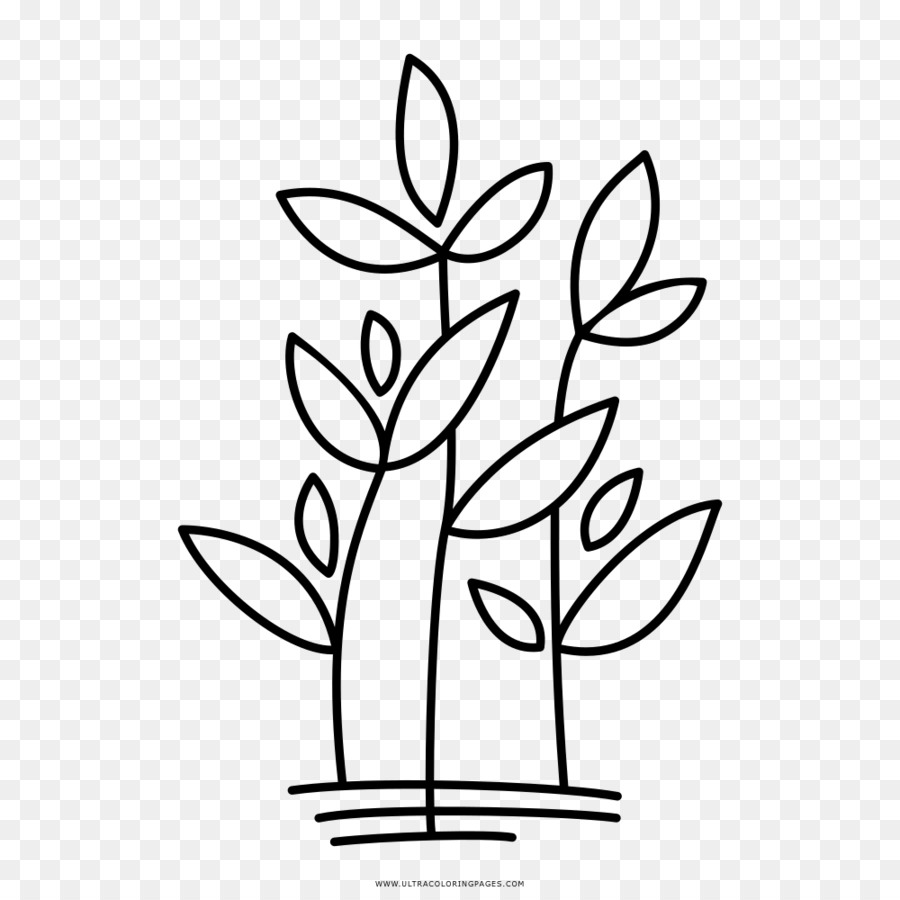 Planta，Hojas PNG