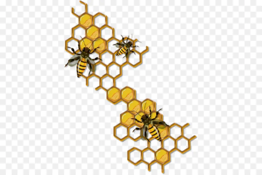 Abeja，Dibujo PNG