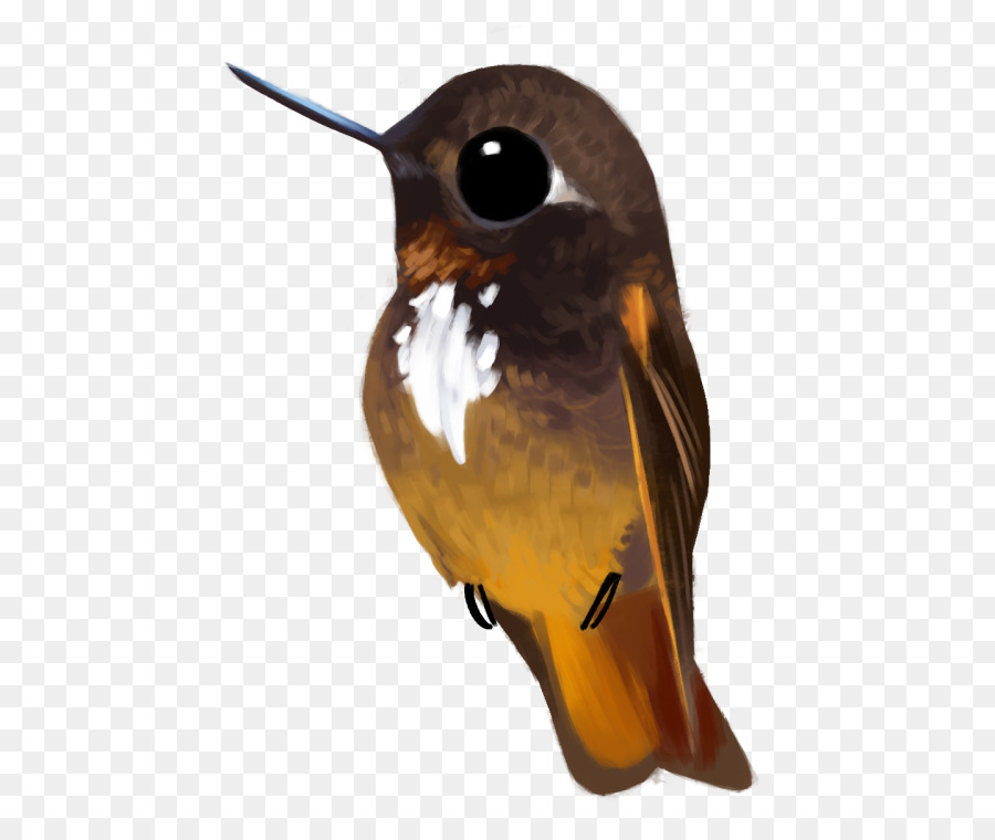 Pico，Pluma PNG