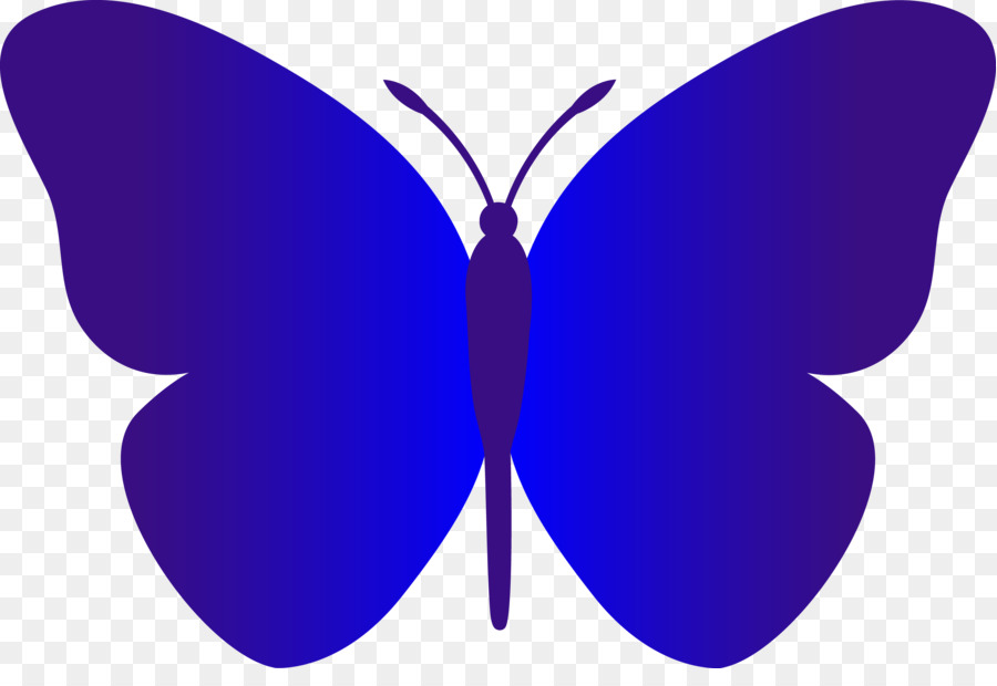 Mariposa，Dibujo PNG