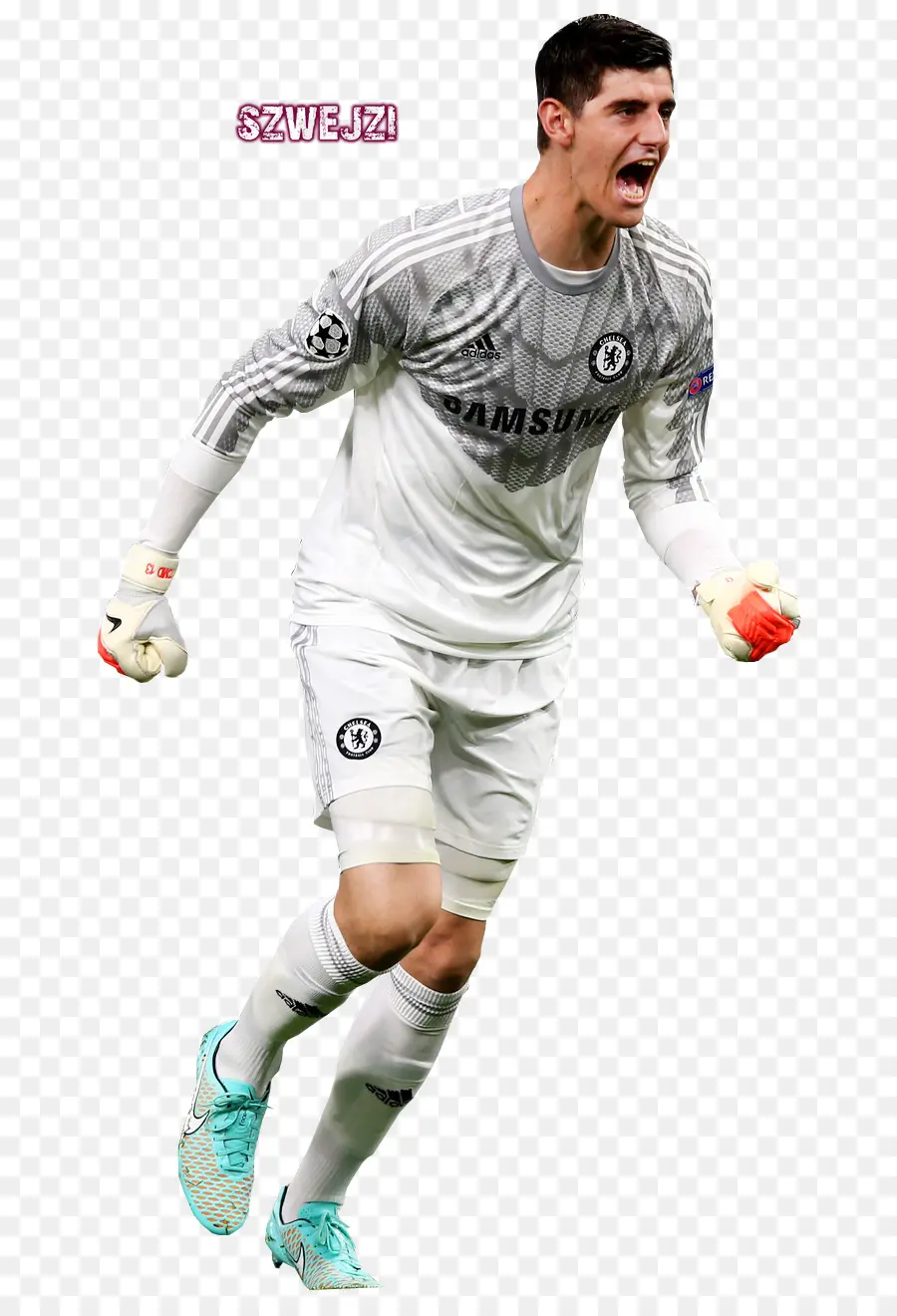 Thibaut Courtois，Club De Fútbol De Chelsea PNG