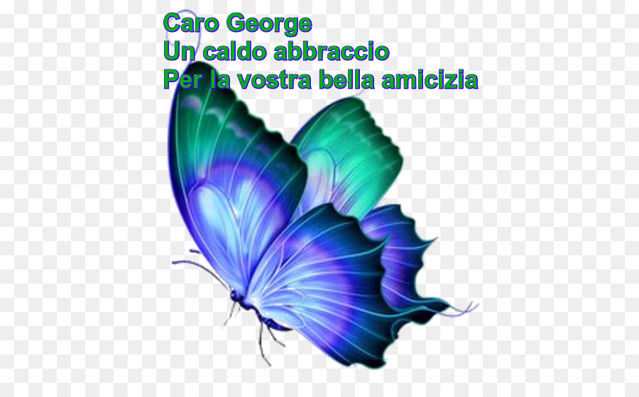 Mariposa，Papillon Perro PNG