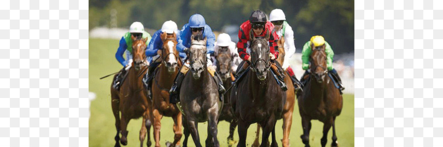 Mustang，Horse Racing PNG