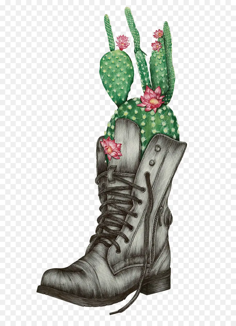 Bota Con Cactus，Planta PNG