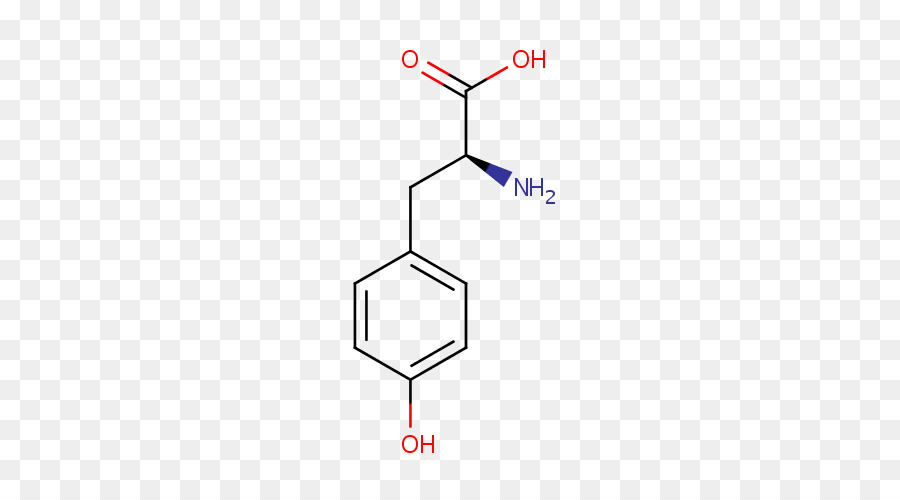 La Química，Química Orgánica PNG