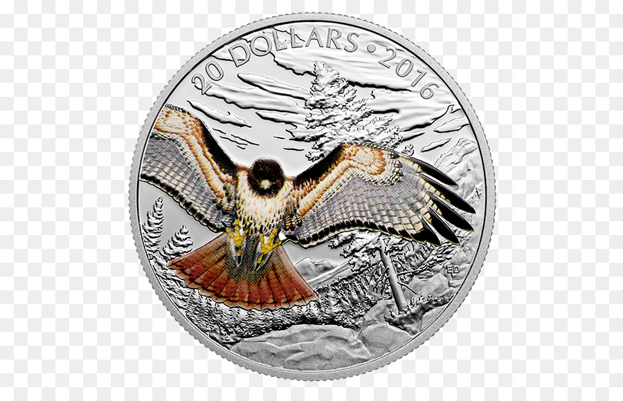 Moneda，Plata PNG