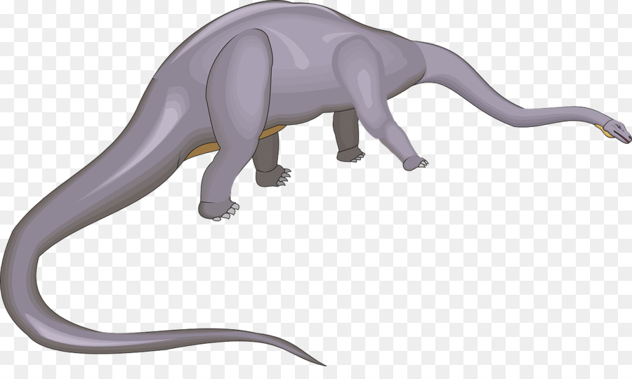 Diplodocus，Dinosaurio PNG