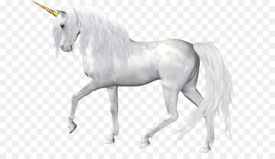 Caballo，Negro Unicornio PNG