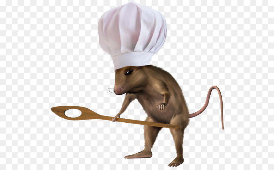 Ratón，Hocico PNG