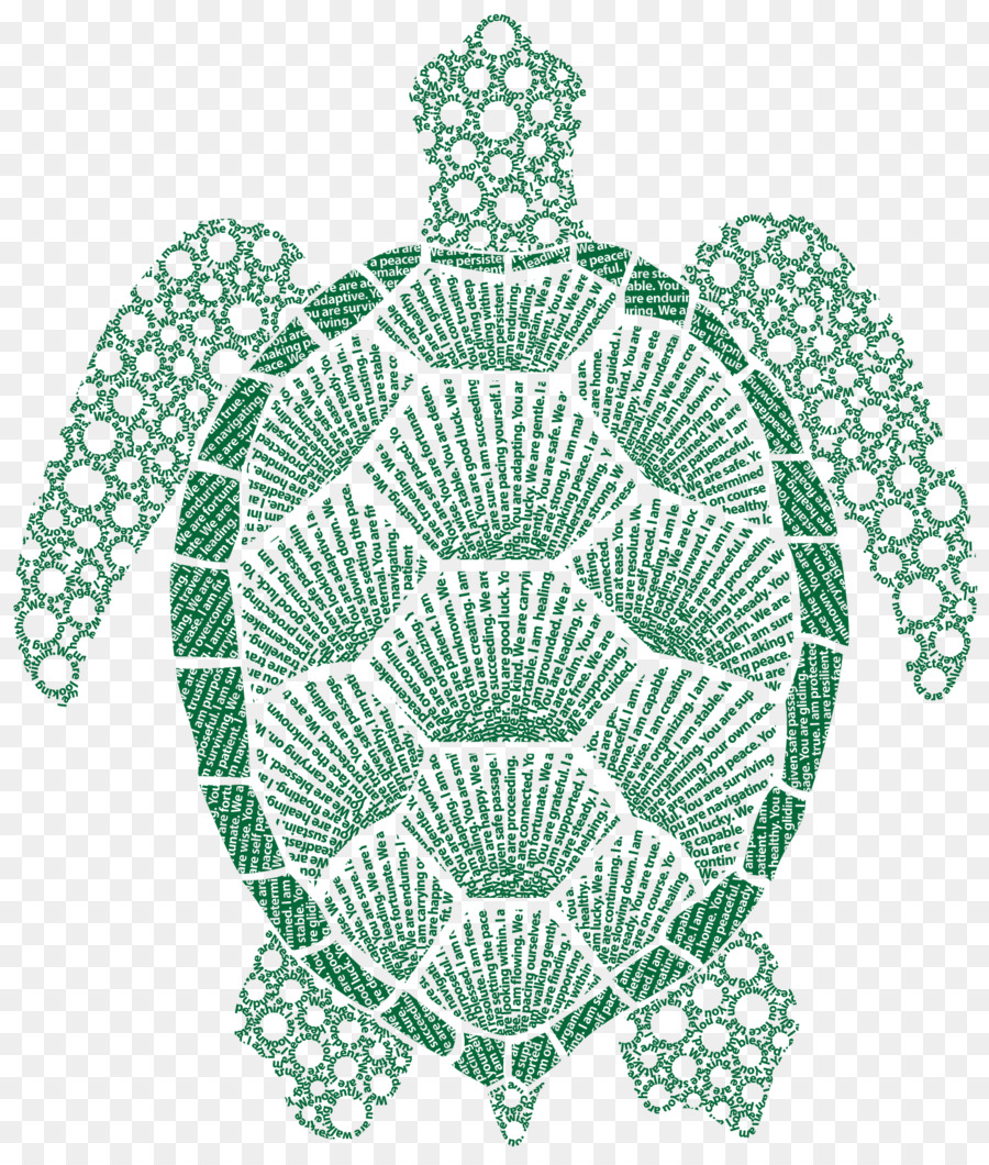 Tortuga，Tapete PNG