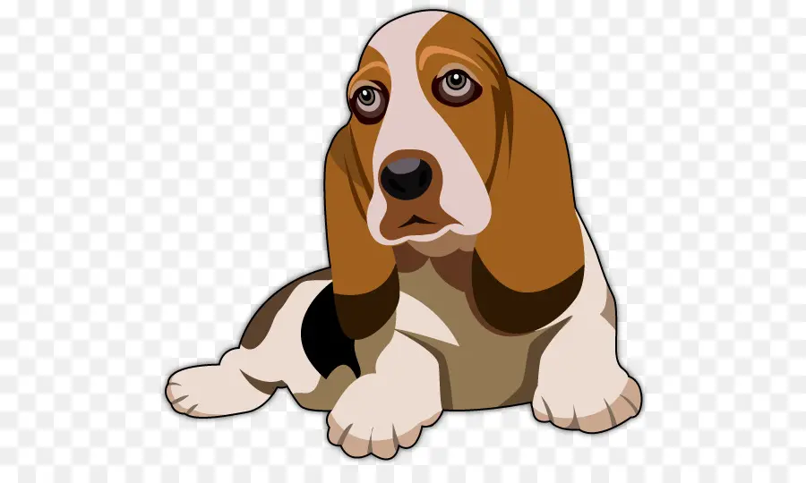 Basset Hound，Basset Artesiano Normand PNG