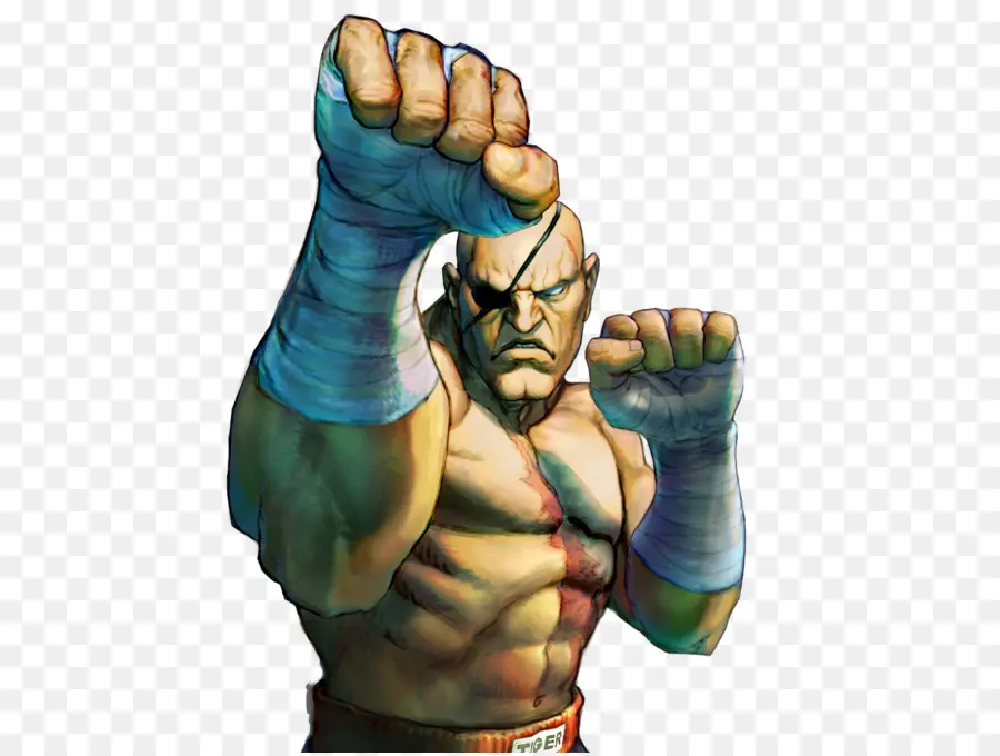 Street Fighter Iv，Super Street Fighter Iv PNG