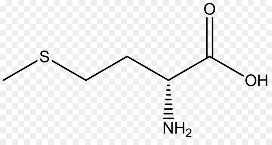 Aminoácidos，La Metionina PNG