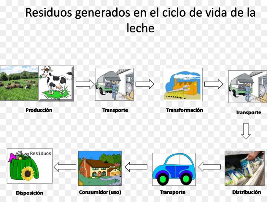 Ciclo De Vida Biológico，La Vida PNG