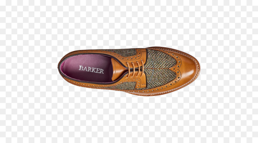 Zapatilla，Slipon Zapato PNG