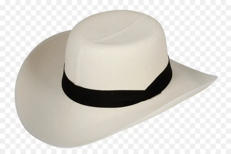 Hat，Distribuidora Nacional De Sombreros PNG