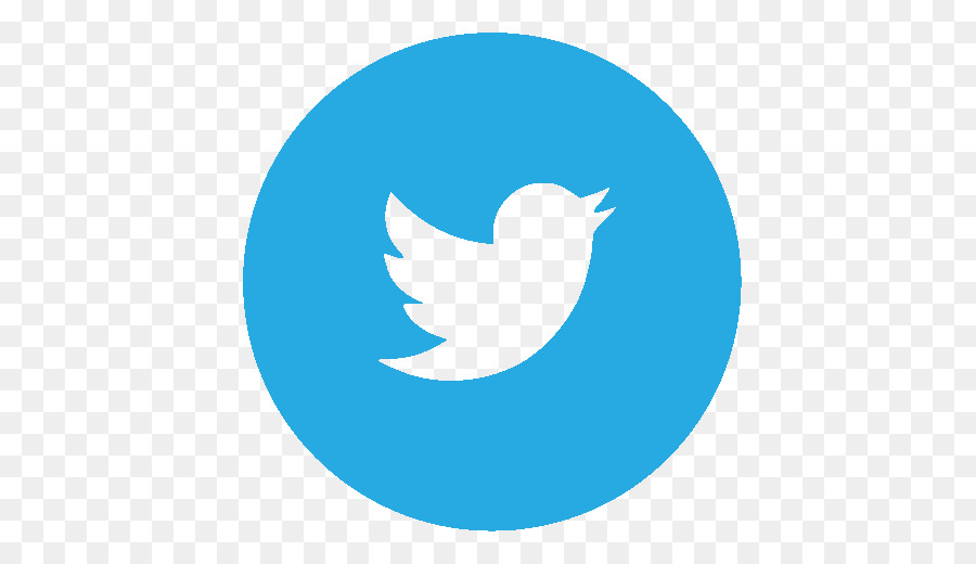 Logotipo De Twitter，Pájaro PNG