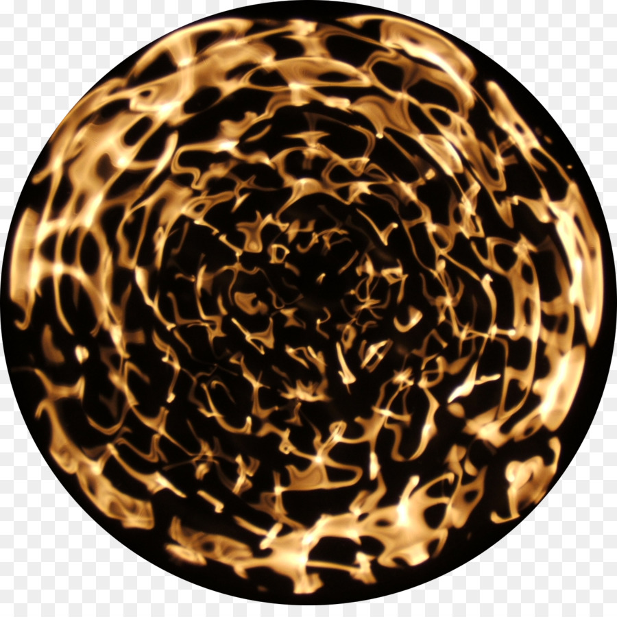 Gato，Big Cat PNG