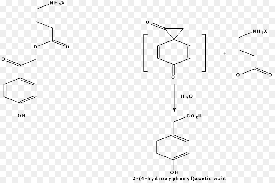 Síntesis Orgánica，Química Orgánica PNG