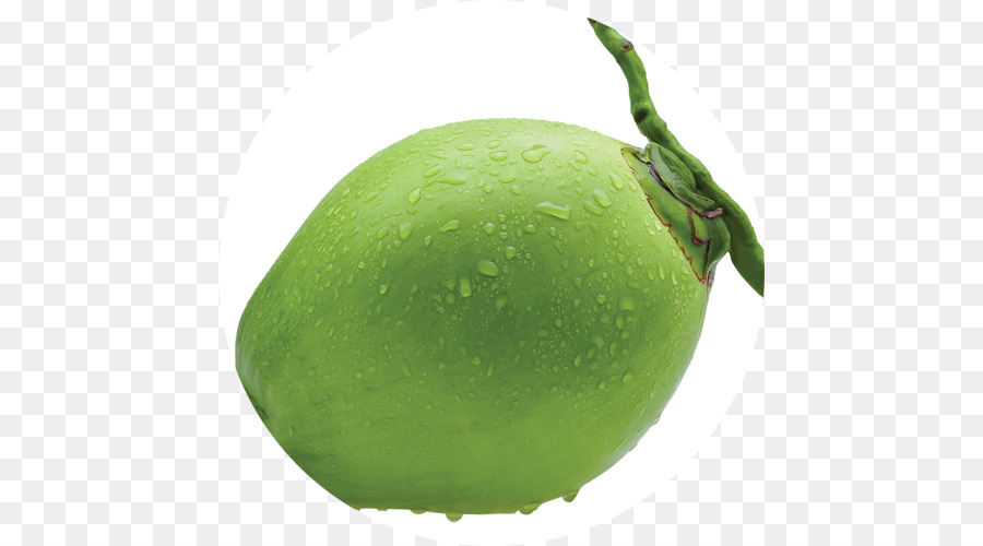 Agua De Coco，Piña Colada PNG