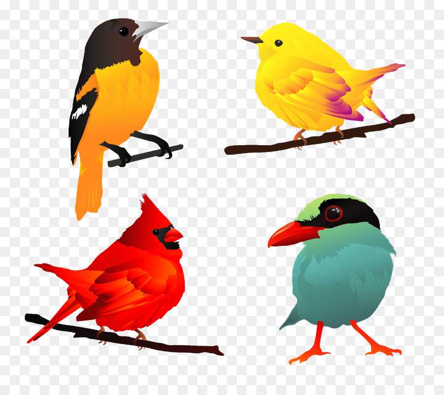 Pájaro，Robin Europeo PNG