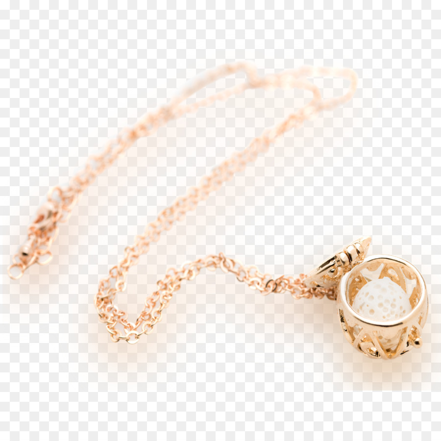 Medallón，Collar PNG