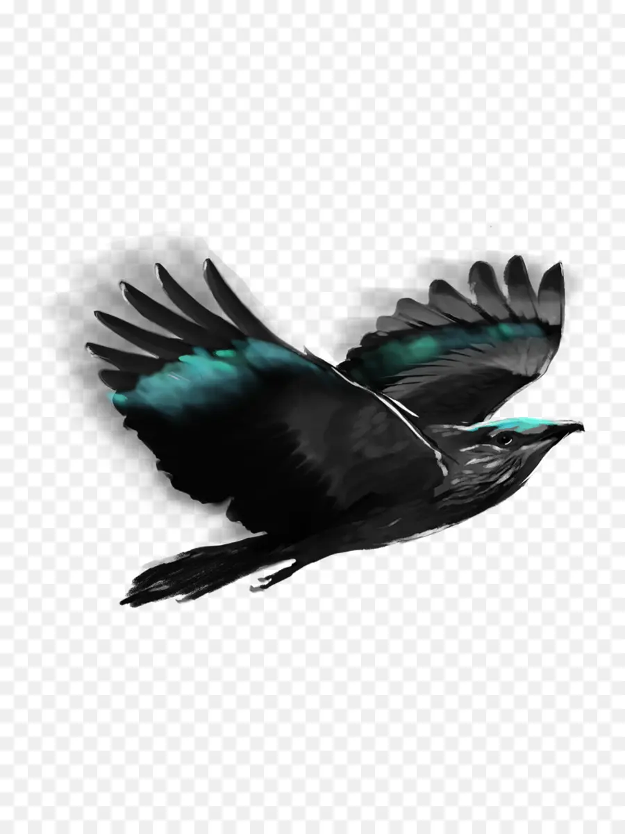 Pájaro Negro，Vuelo PNG