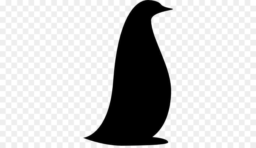 Penguin，Animal PNG