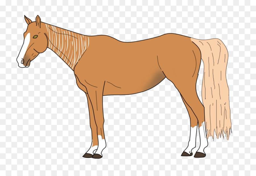 Caballo，Equino PNG