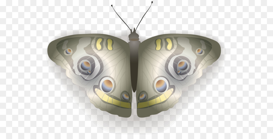 Mariposa，La Fotografía PNG