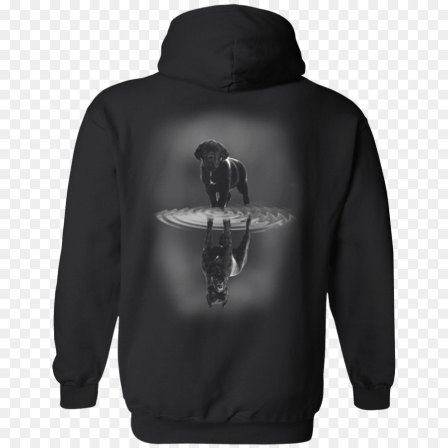 Camiseta，Sudadera Con Capucha PNG