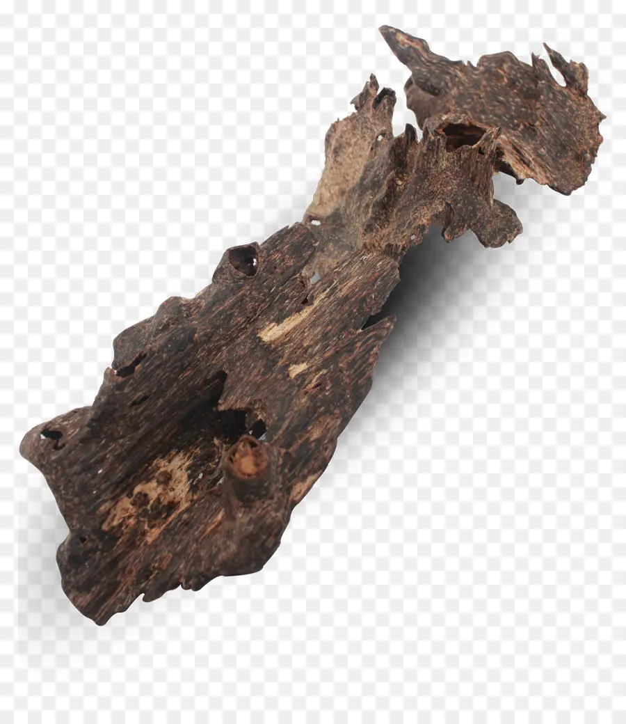 Corteza De Madera，Árbol PNG