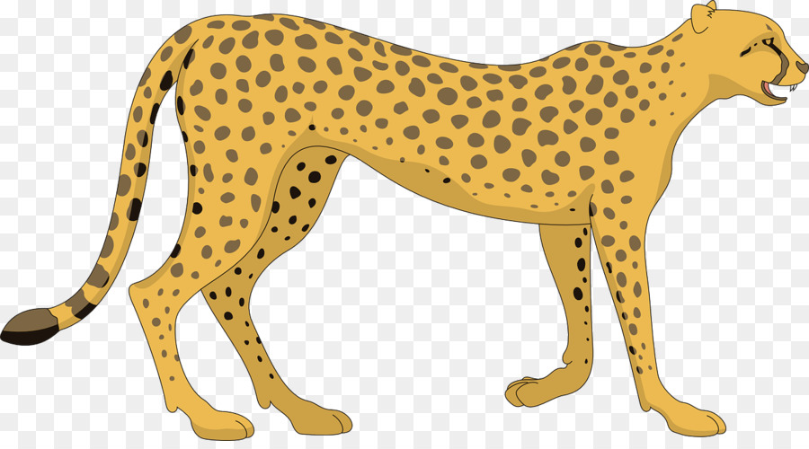 Cheetah，Royaltyfree PNG