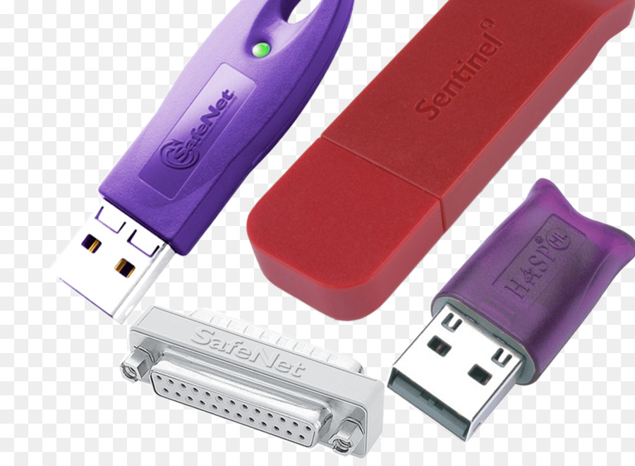 Hasp，Protección De Software Dongle PNG