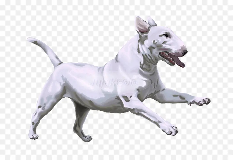 Bull Terrier，Raza De Perro PNG