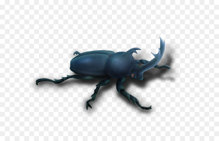 Escarabajo De Estiércol，Picudo PNG
