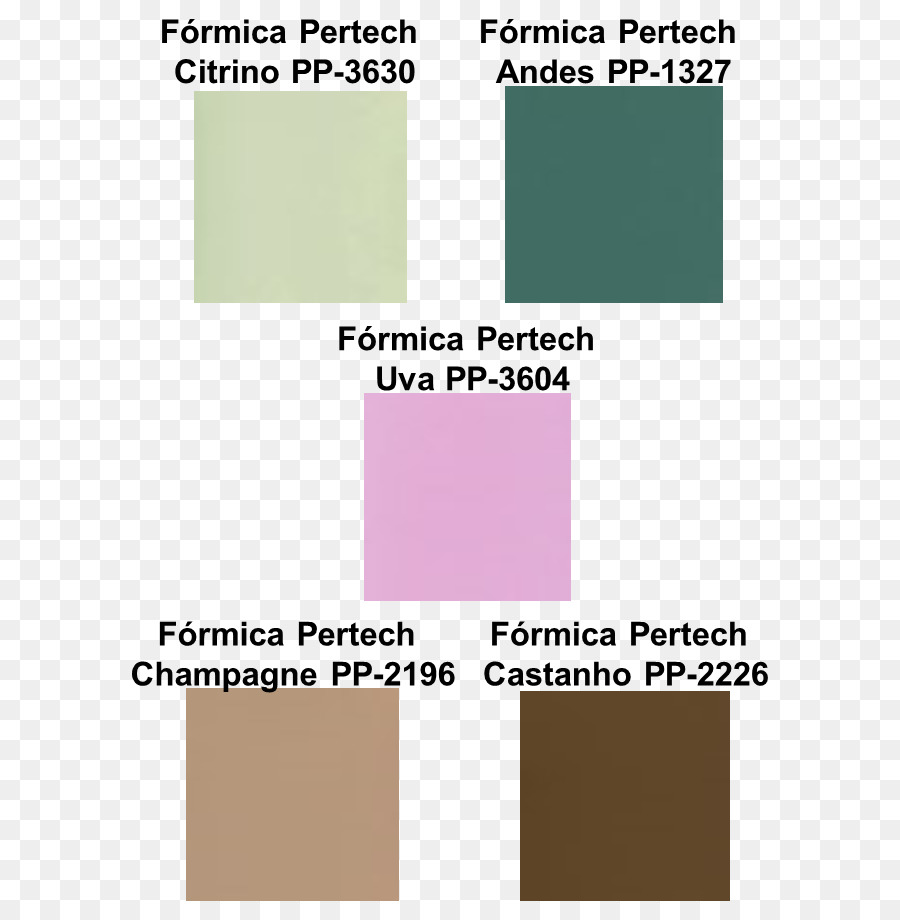 Paper，Formica PNG