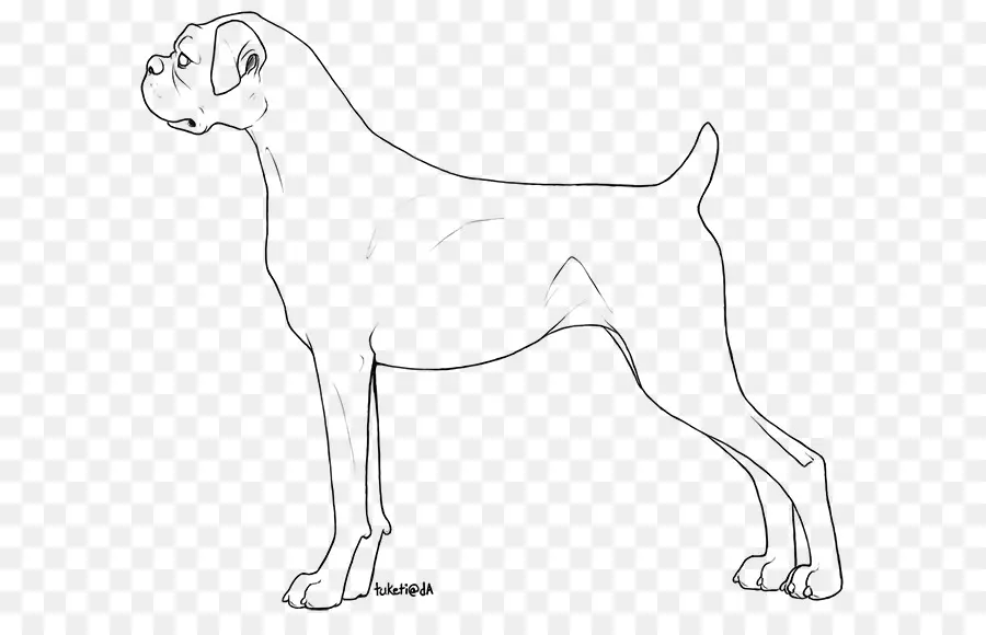 Raza De Perro，Arte De Línea PNG