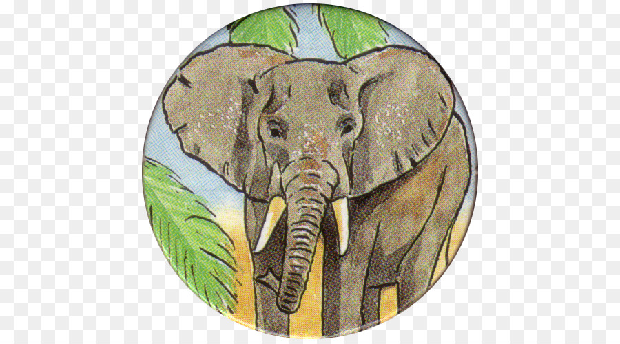 Elefante Indio，El Elefante Africano PNG