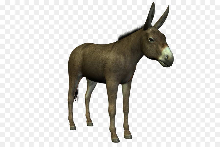 Burro，Granja PNG