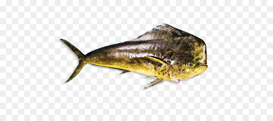 Sardina，Mahi Mahi PNG