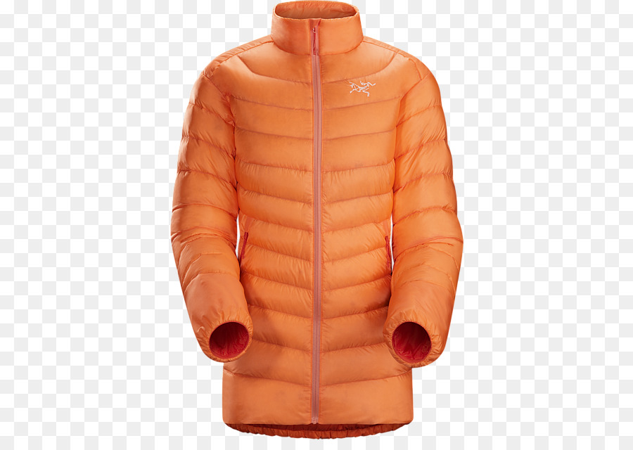 Chaqueta，Sudadera Con Capucha PNG